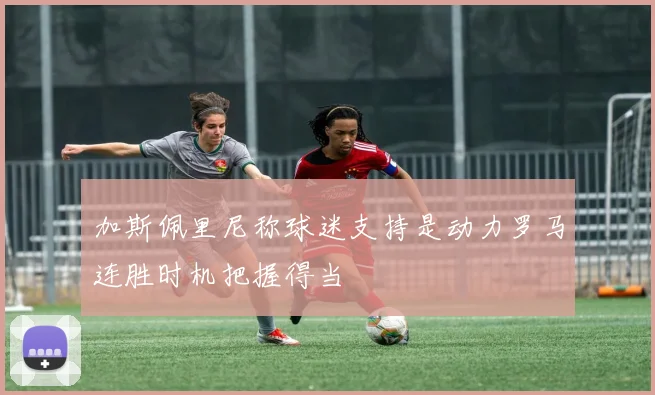 加斯佩里尼称球迷支持是动力罗马连胜时机把握得当