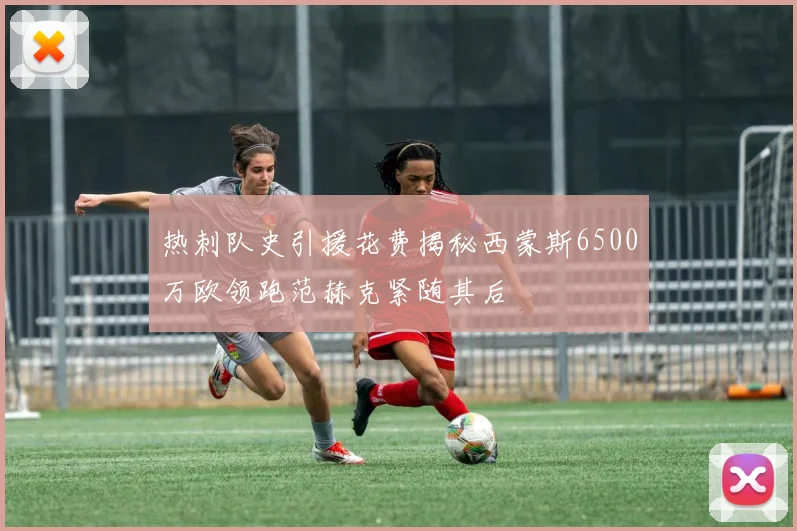 热刺队史引援花费揭秘西蒙斯6500万欧领跑范赫克紧随其后