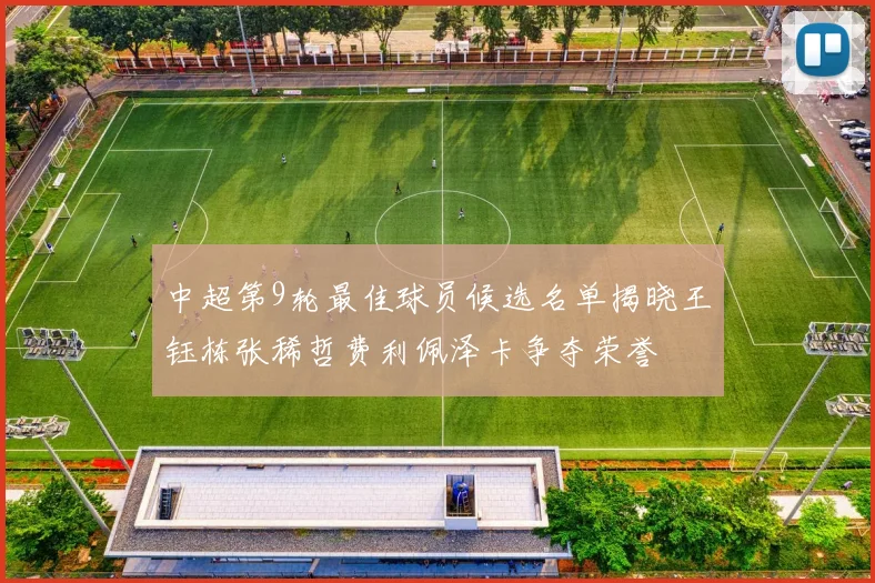中超第9轮最佳球员候选名单揭晓王钰栋张稀哲费利佩泽卡争夺荣誉