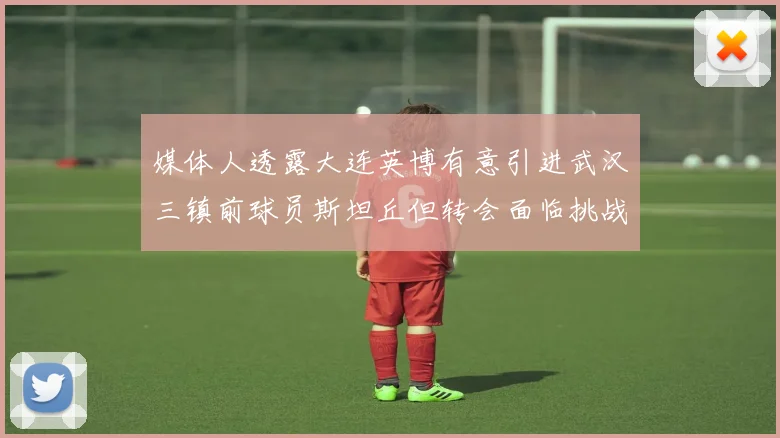 媒体人透露大连英博有意引进武汉三镇前球员斯坦丘但转会面临挑战